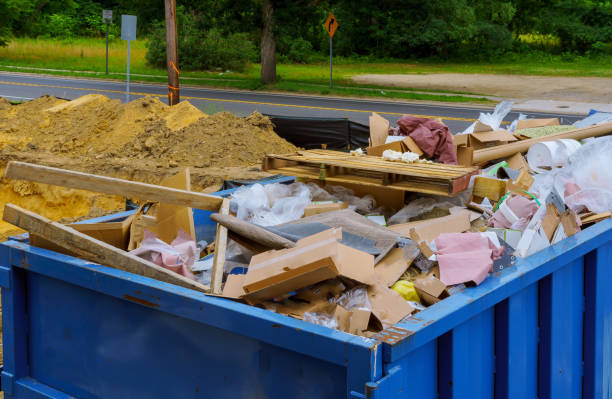 Best Dumpster Rental Services  in Bellview, FL